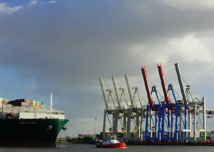 Marine, Cargo and Transit Insurance